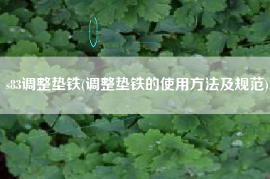 s83<a href='http://gyuer.cn/jichuangdiantiexilie/' target='_blank' title='調(diào)整墊鐵' ><strong>調(diào)整墊鐵</strong></a>(調(diào)整墊鐵的使用方法及規(guī)范)